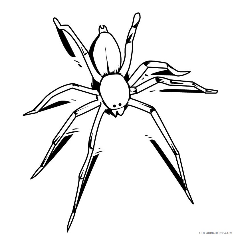 Spider Coloring Pages Animal Printable Sheets Spider 2021 4616 Coloring4free