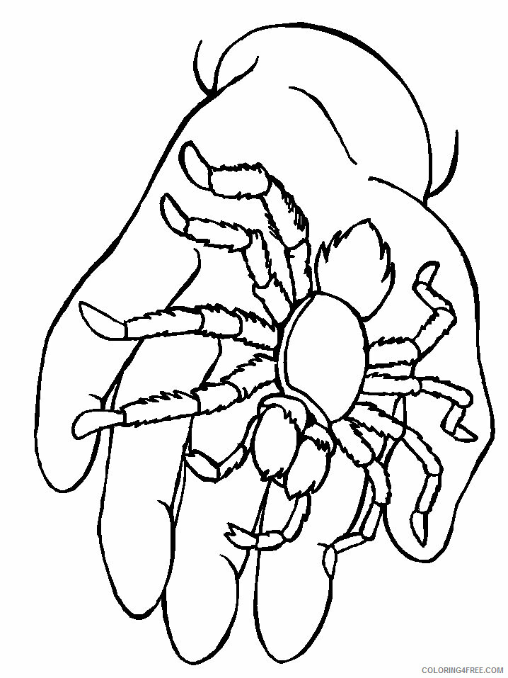 Spider Coloring Pages Animal Printable Sheets Spider 2021 4647 Coloring4free