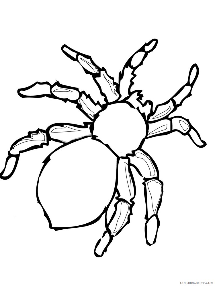 Spider Coloring Pages Animal Printable Sheets Spider 6 2021 4644 Coloring4free