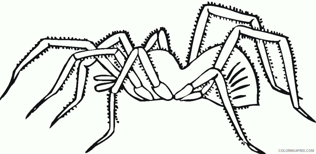 Spider Coloring Pages Animal Printable Sheets Spider Pictures to Print 2021 4650 Coloring4free
