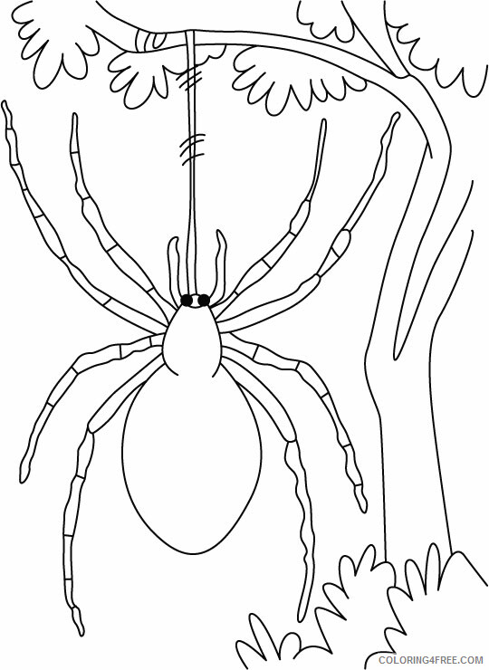 Spider Coloring Pages Animal Printable Sheets Spider Sheets Halloween 2021 4653 Coloring4free