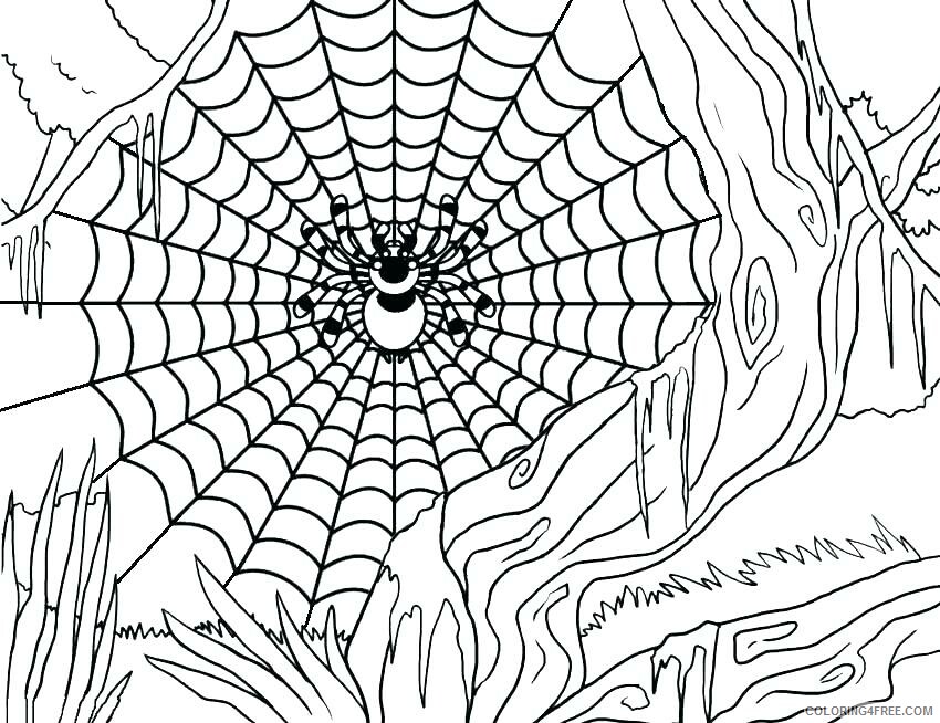 Spider Coloring Pages Animal Printable Sheets Spider and Web 2021 4636 Coloring4free