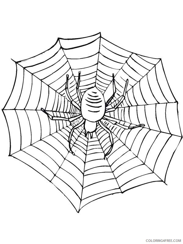 Spider Coloring Pages Animal Printable Sheets Spider on Spidernet 2021 4656 Coloring4free