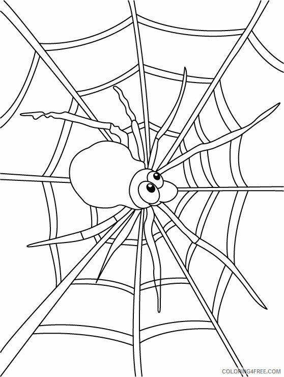 Spider Coloring Pages Animal Printable Sheets Spider to Print 2021 4649 Coloring4free
