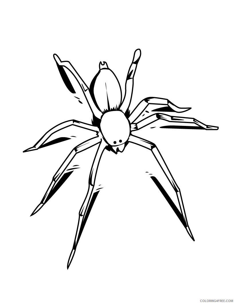 Spider Coloring Pages Animal Printable Sheets Spiders 2021 4657 Coloring4free