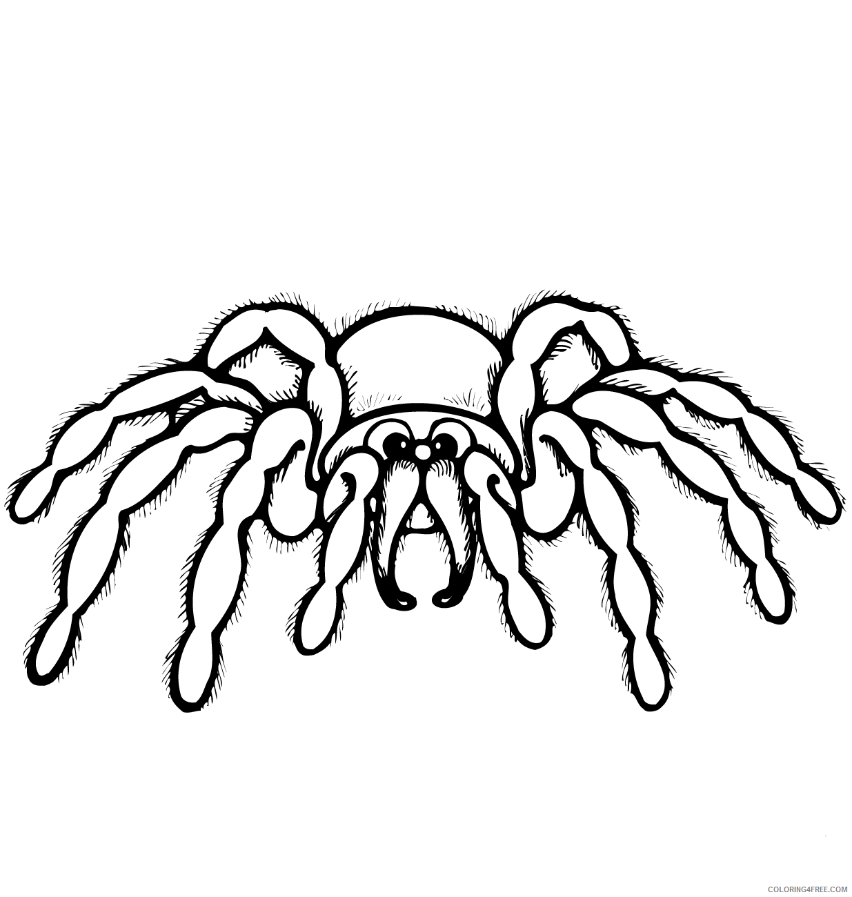 Spider Coloring Pages Animal Printable Sheets cartoon spider 2021 4611 Coloring4free