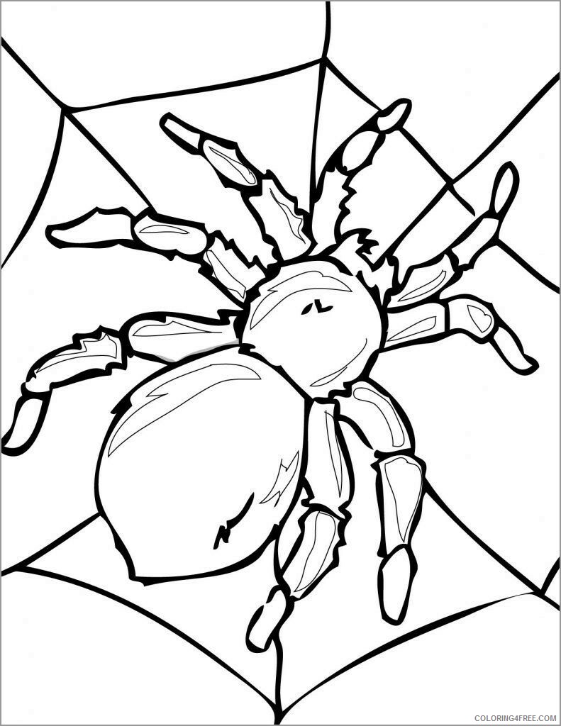 Spider Coloring Pages Animal Printable Sheets printable spider print 2021 4628 Coloring4free