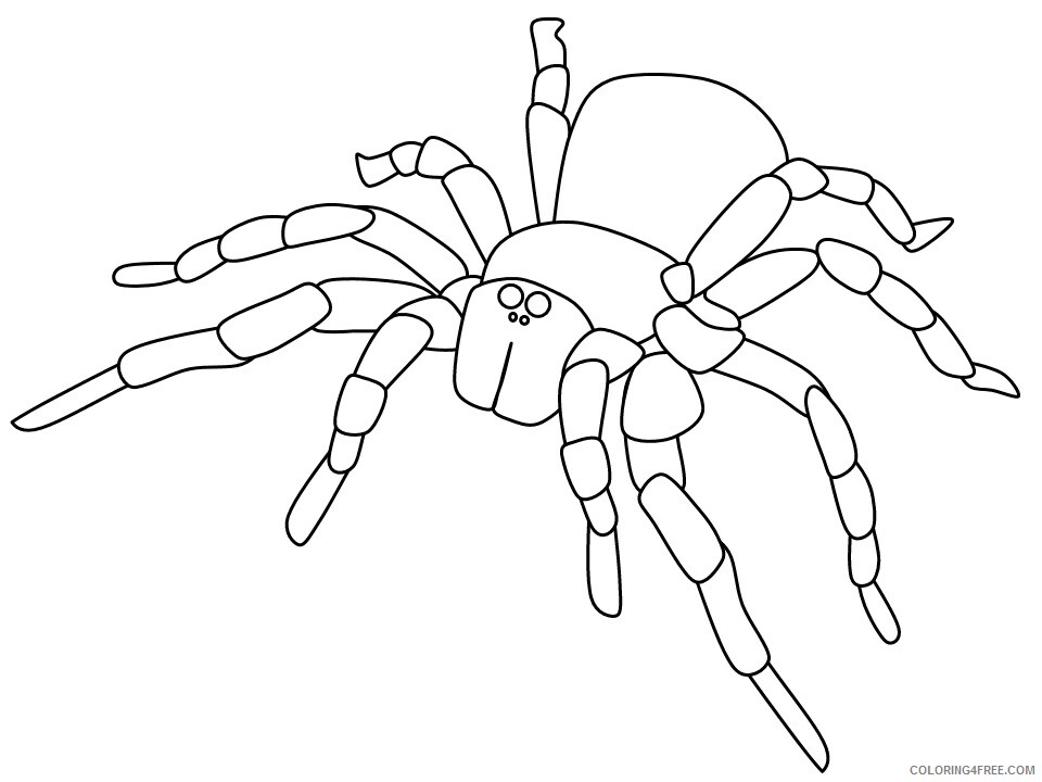 Spider Coloring Pages Animal Printable Sheets spider16 2021 4634 Coloring4free