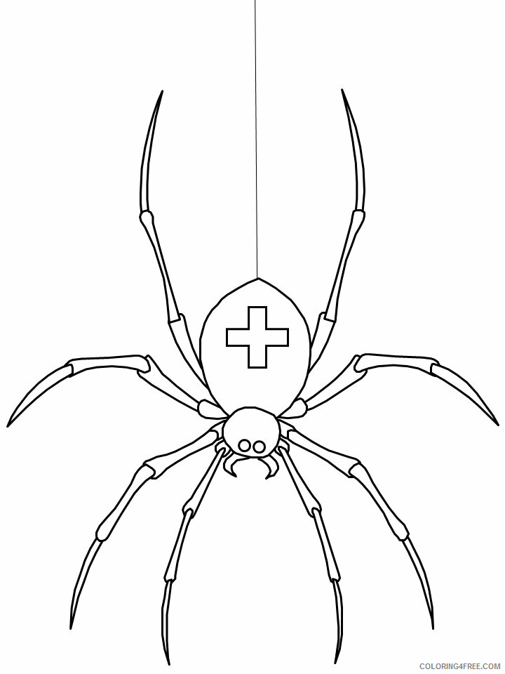 Spider Coloring Pages Animal Printable Sheets spider17 2021 4635 Coloring4free