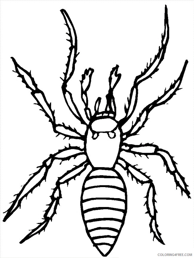 Spider Coloring Sheets Animal Coloring Pages Printable 2021 4252 Coloring4free