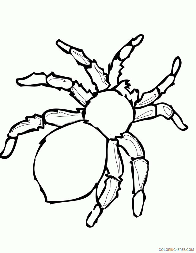 Spider Coloring Sheets Animal Coloring Pages Printable 2021 4254 Coloring4free