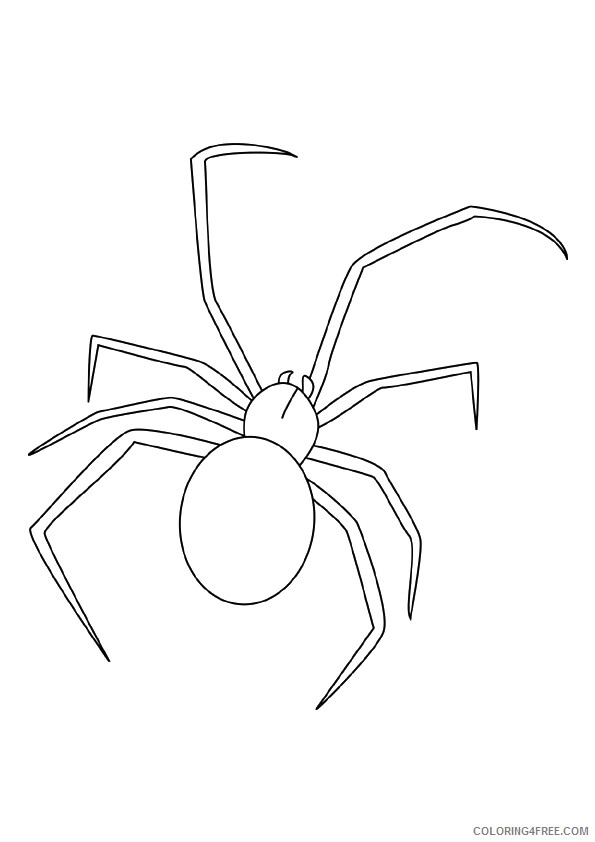 Spider Coloring Sheets Animal Coloring Pages Printable 2021 4257 Coloring4free