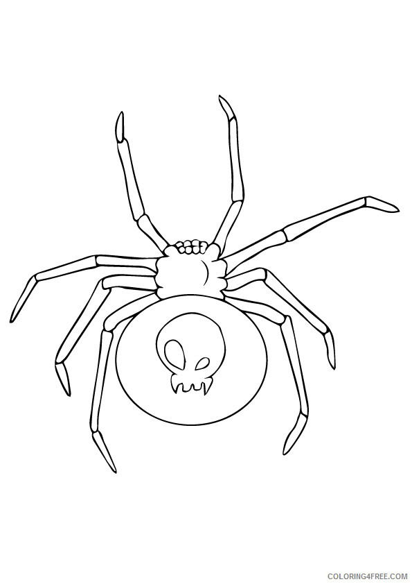 Spider Coloring Sheets Animal Coloring Pages Printable 2021 4261 Coloring4free