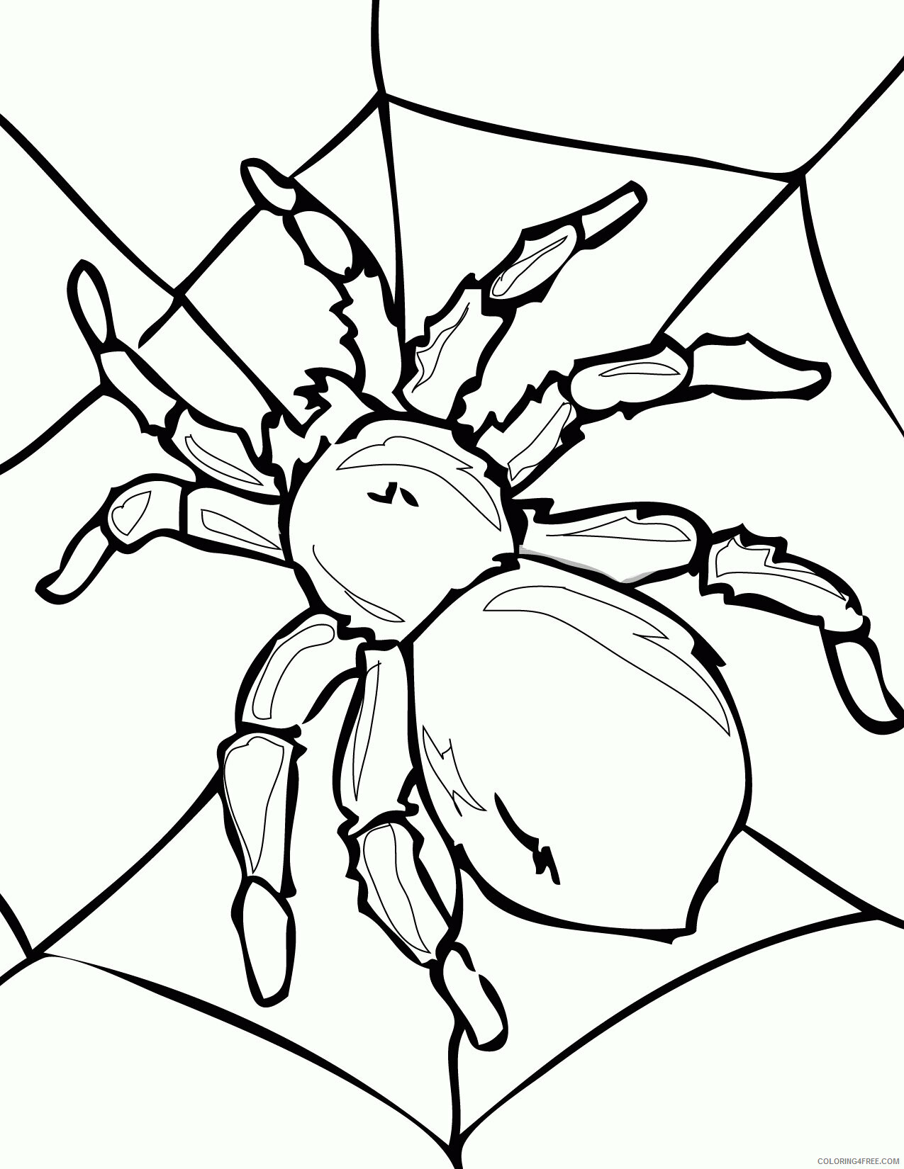 Spider Coloring Sheets Animal Coloring Pages Printable 2021 4264 Coloring4free