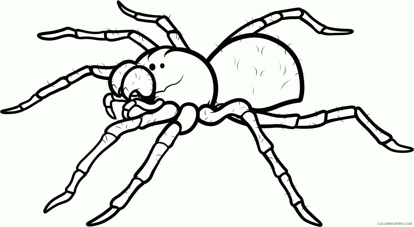 Spider Coloring Sheets Animal Coloring Pages Printable 2021 4270 Coloring4free