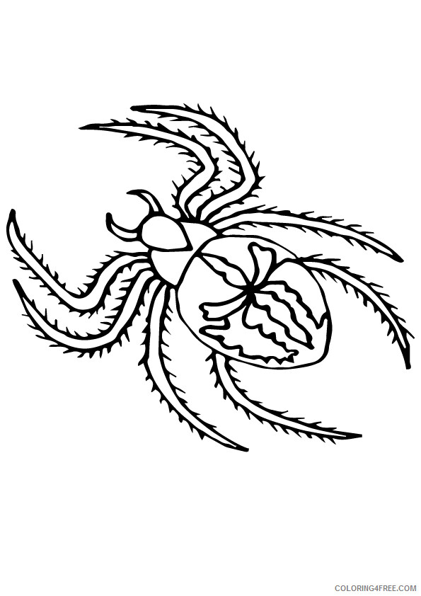 Spider Coloring Sheets Animal Coloring Pages Printable 2021 4272 Coloring4free