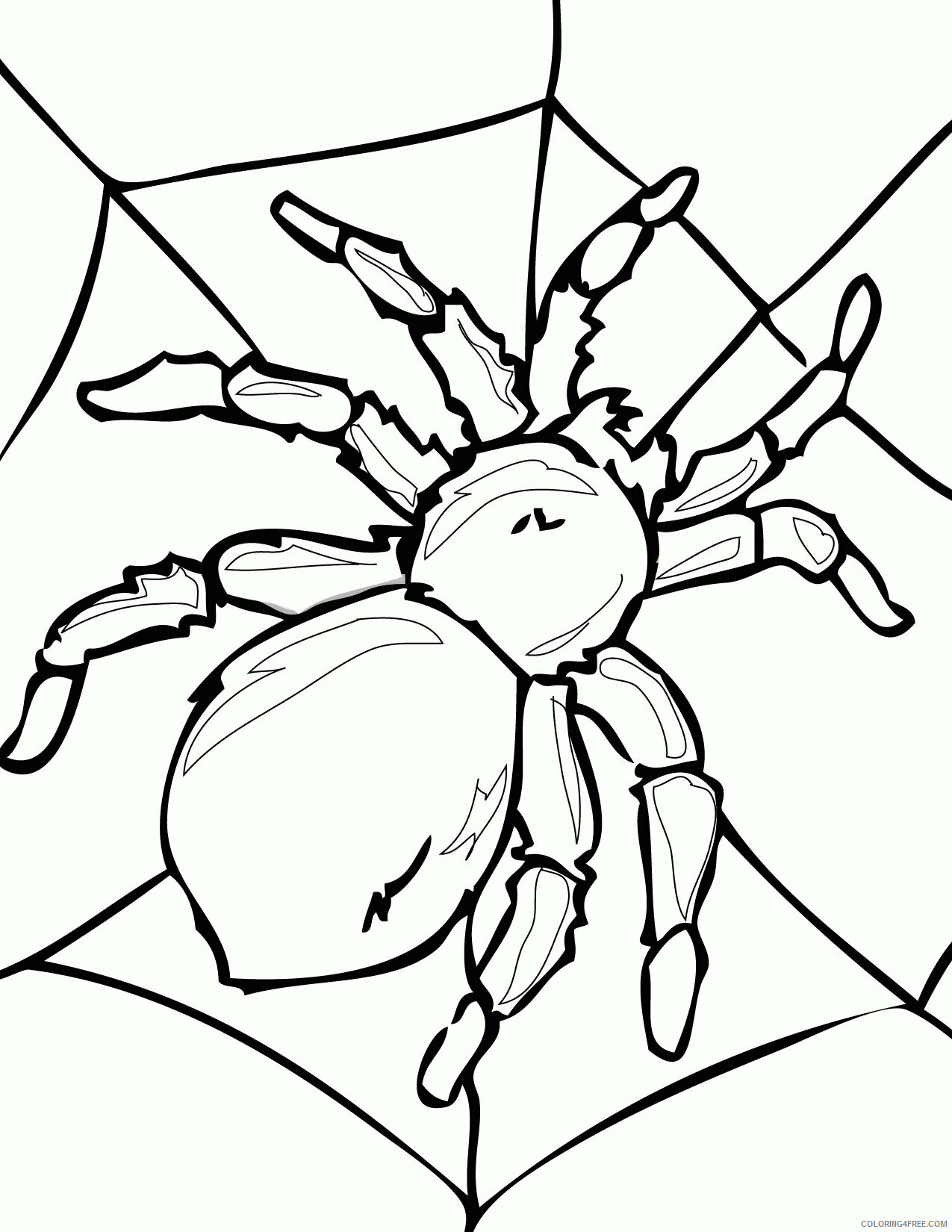 Spider Coloring Sheets Animal Coloring Pages Printable 2021 4275 Coloring4free