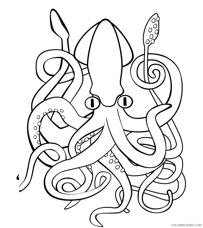Squid Coloring Pages Animal Printable Sheets 1559730302_giant squid a4 2021 4662 Coloring4free