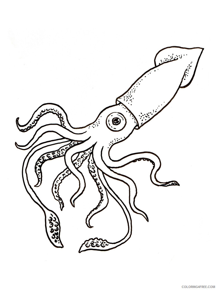 Squid Coloring Pages Animal Printable Sheets Squid 1 2021 4663 Coloring4free