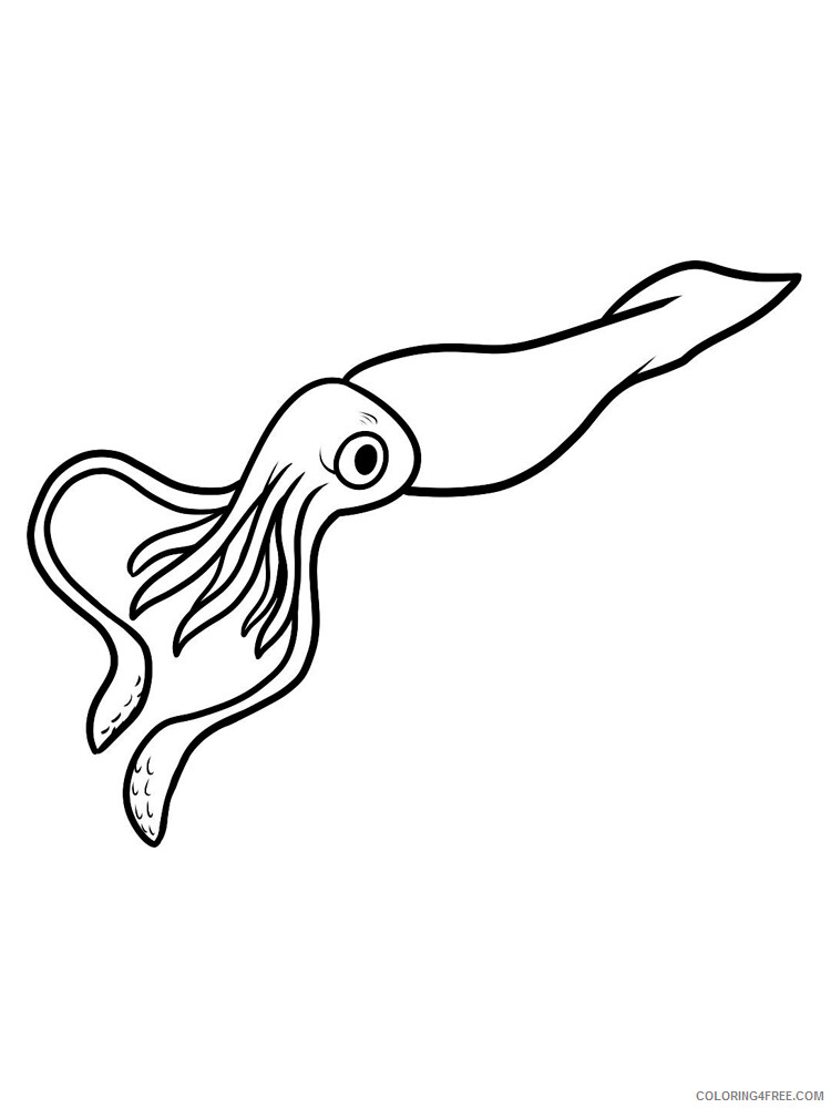 Squid Coloring Pages Animal Printable Sheets Squid 12 2021 4666 Coloring4free