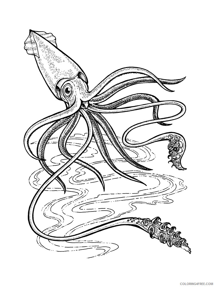Squid Coloring Pages Animal Printable Sheets Squid 4 2021 4668 Coloring4free