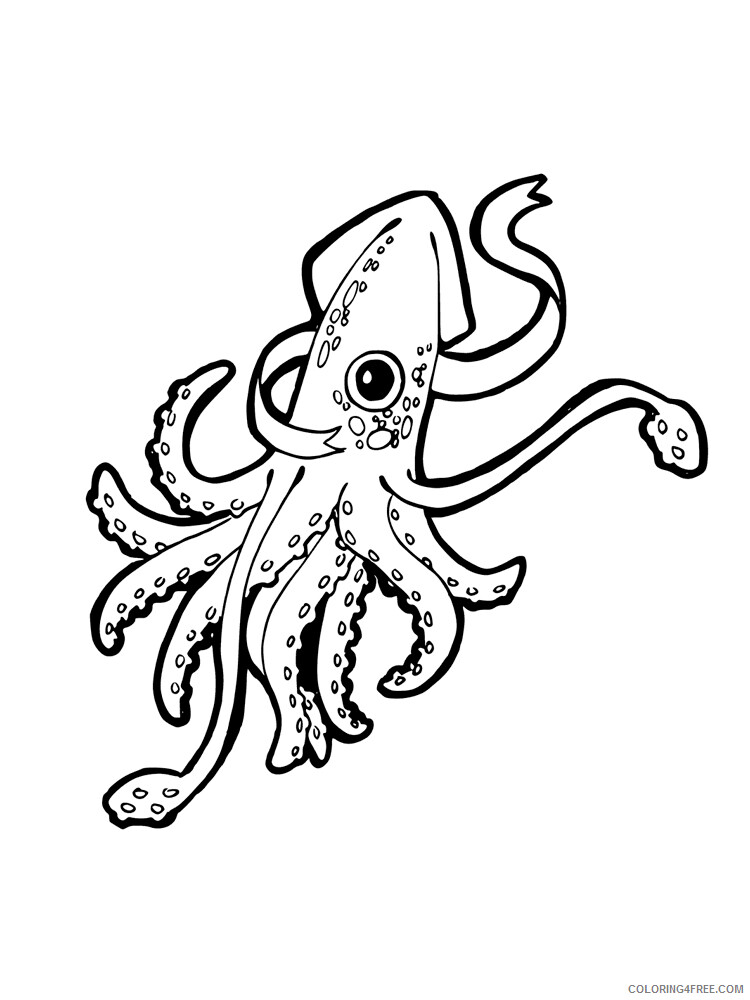Squid Coloring Pages Animal Printable Sheets Squid 7 2021 4671 Coloring4free