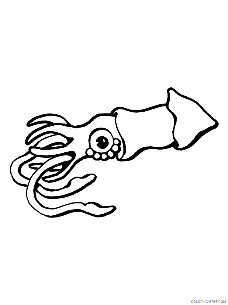 Squid Coloring Pages Animal Printable Sheets Squid 9 2021 4673 Coloring4free