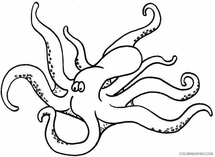 Squid Coloring Sheets Animal Coloring Pages Printable 2021 4285 Coloring4free