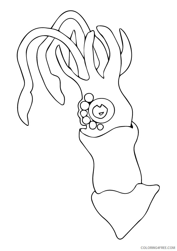 Squid Coloring Sheets Animal Coloring Pages Printable 2021 4296 Coloring4free