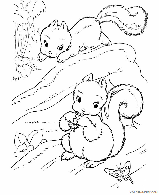 Squirrel Coloring Pages Animal Printable Sheets Squirrel 2021 4690 Coloring4free