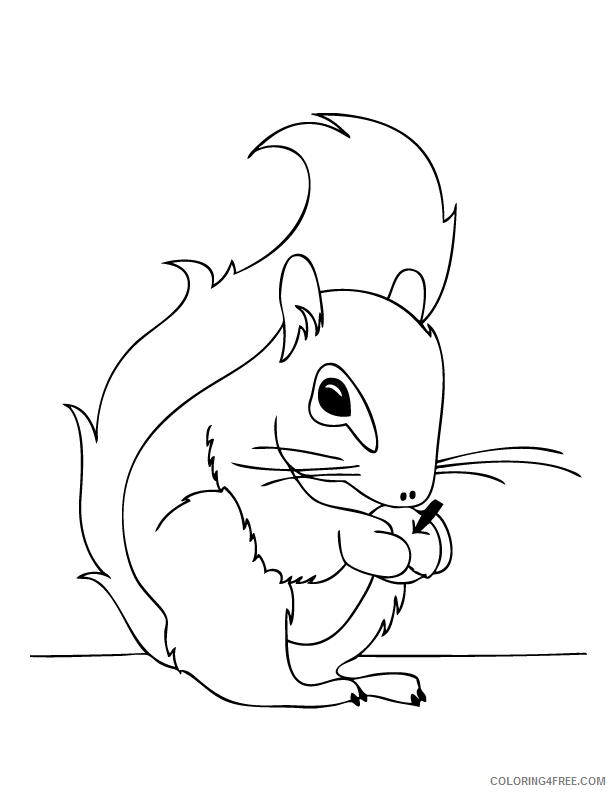 Squirrel Coloring Pages Animal Printable Sheets Squirrel 2021 4692 Coloring4free