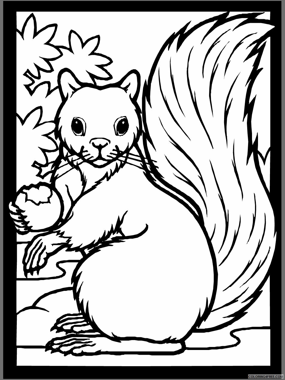 Squirrel Coloring Pages Animal Printable Sheets Squirrel Easy Fall 2021 4693 Coloring4free