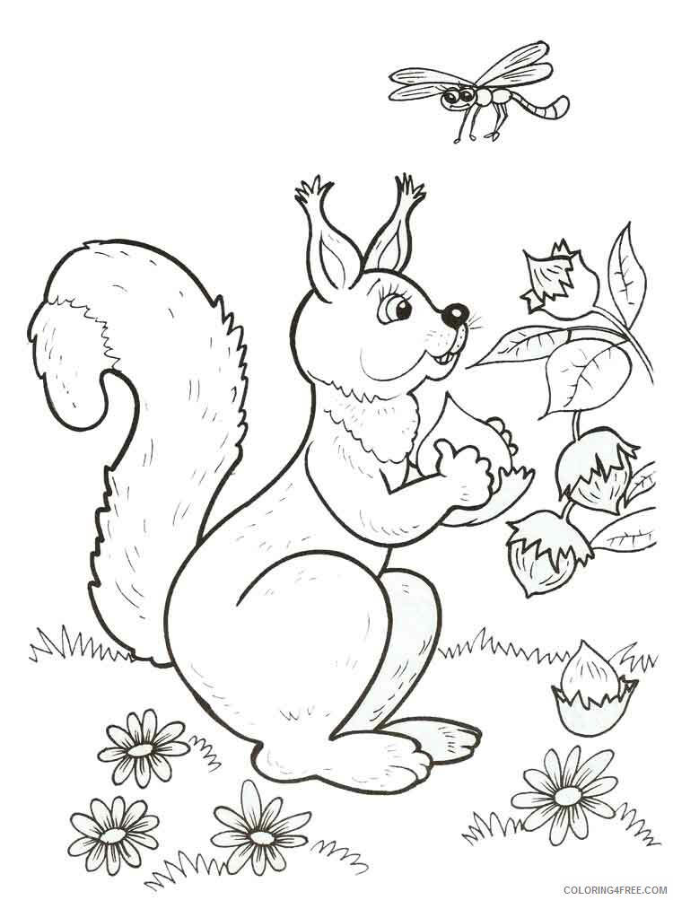 Squirrel Coloring Pages Animal Printable Sheets animals squirrel 8 2021 4678 Coloring4free
