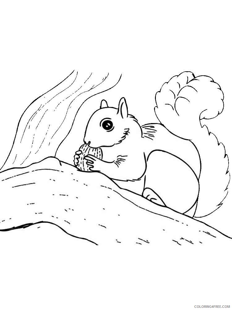 Squirrel Coloring Pages Animal Printable Sheets animals squirrel 9 2021 4679 Coloring4free