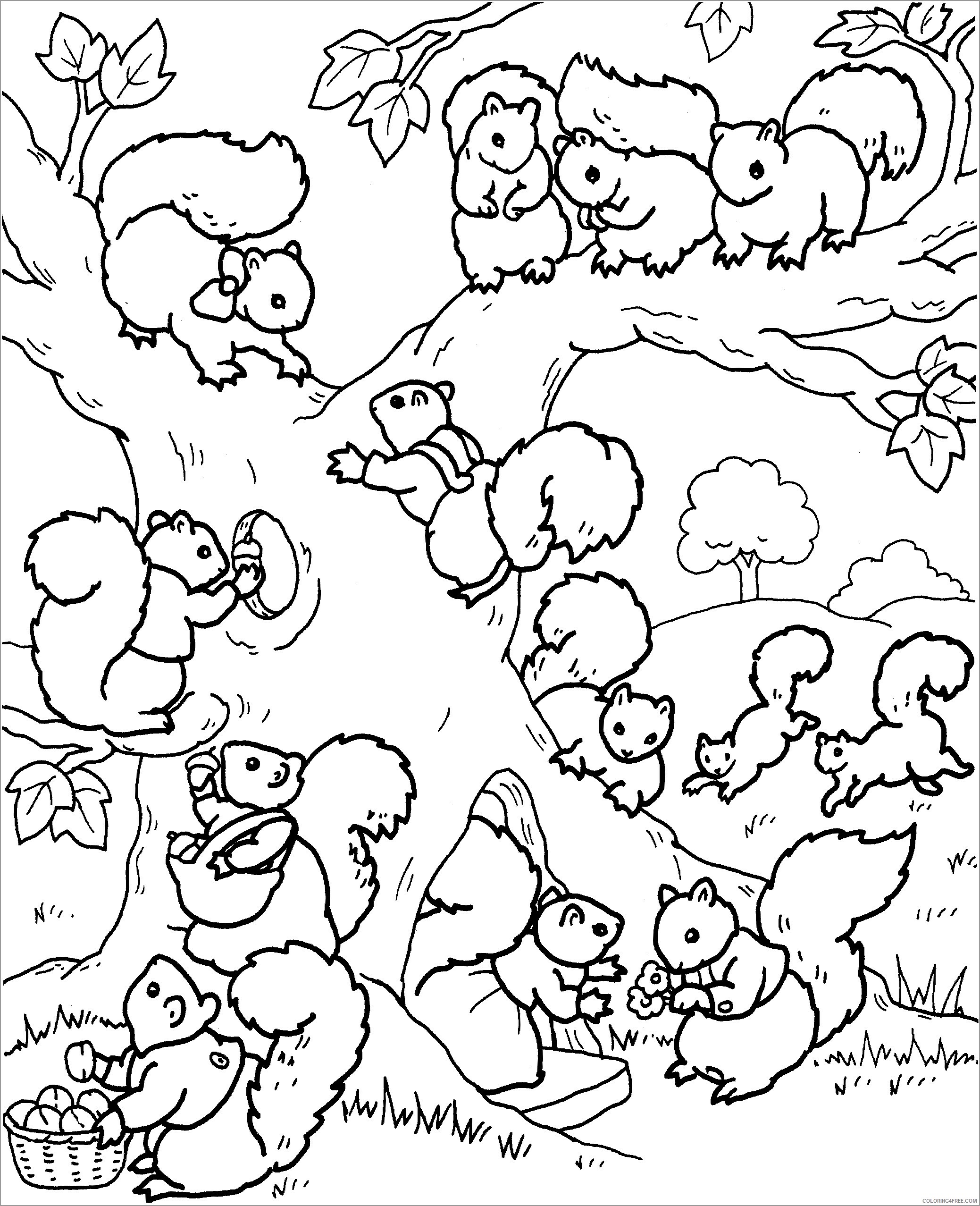 Squirrel Coloring Pages Animal Printable Sheets baby squirrel in a tree 2021 4675 Coloring4free