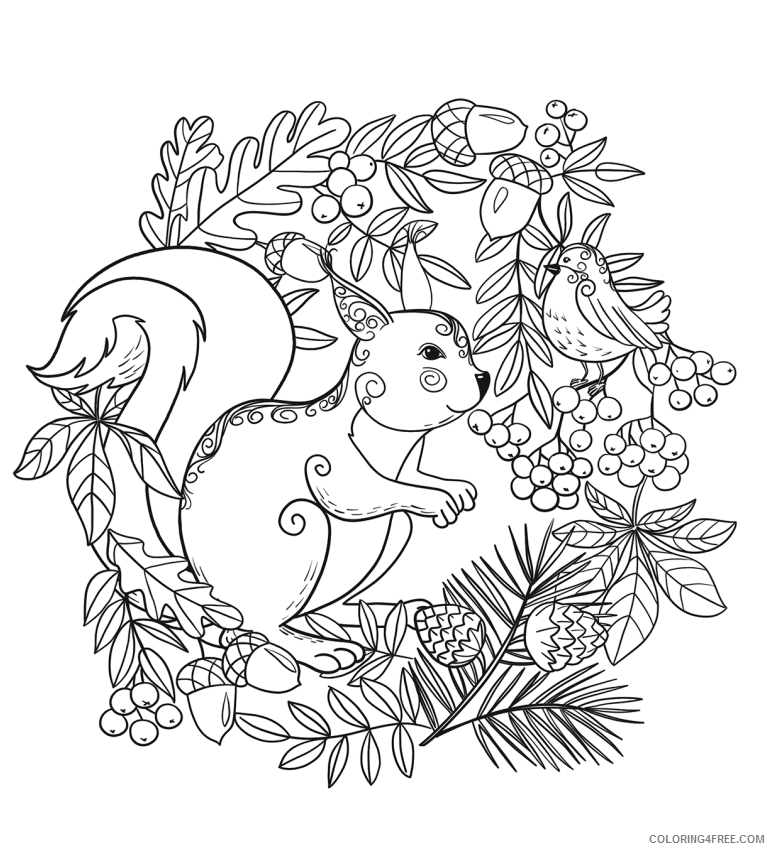 Squirrel Coloring Pages Animal Printable Sheets squirrel 2021 4683 Coloring4free