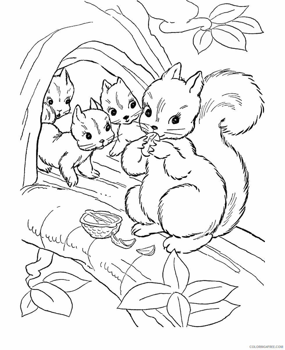 Squirrel Coloring Pages Animal Printable Sheets squirrel_cl_01 2021 4684 Coloring4free