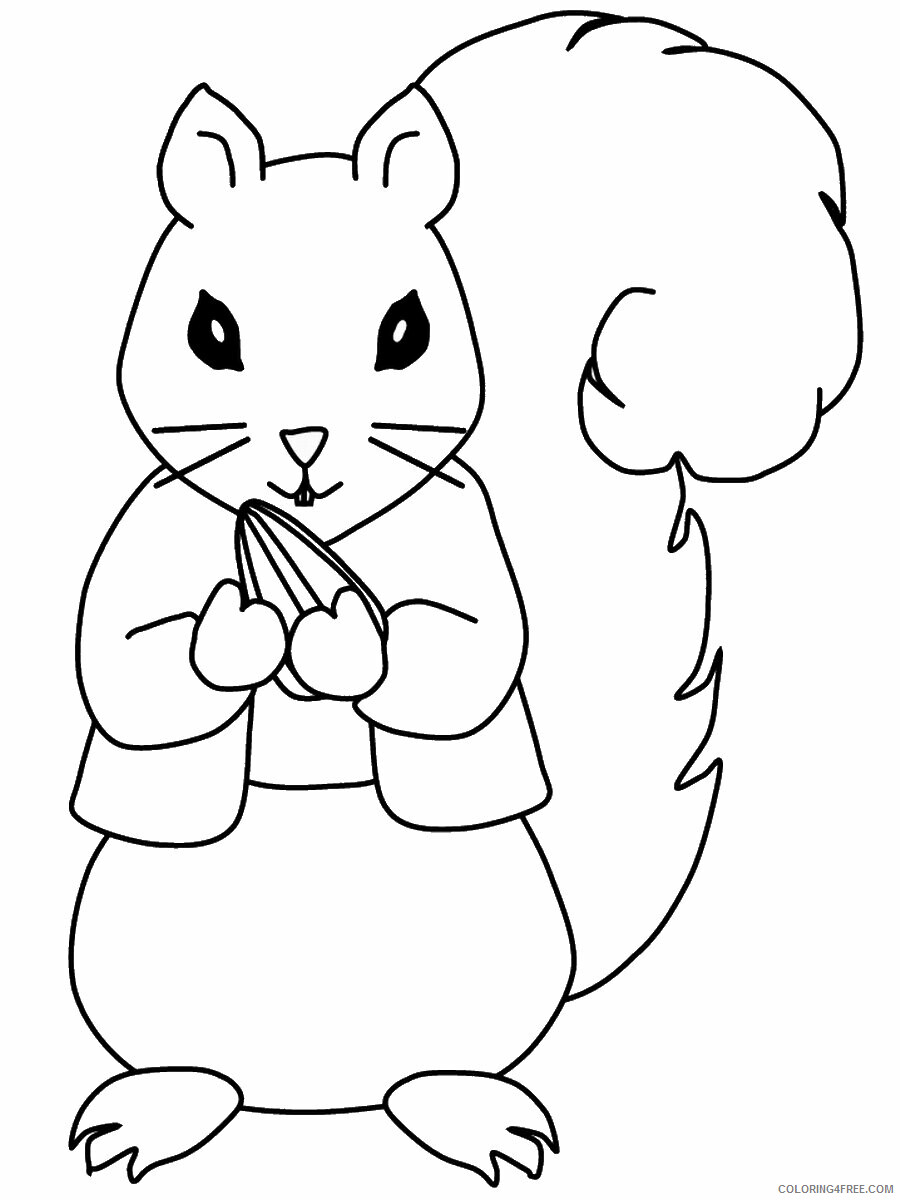 Squirrel Coloring Pages Animal Printable Sheets squirrel_cl_17 2021 4686 Coloring4free
