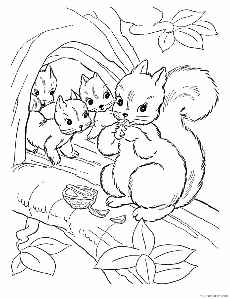 Squirrel Coloring Pages Animal Printable Sheets squirrel_cl_20 2021 4687 Coloring4free