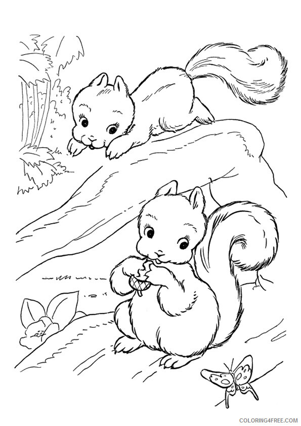 Squirrel Coloring Sheets Animal Coloring Pages Printable 2021 4300 Coloring4free