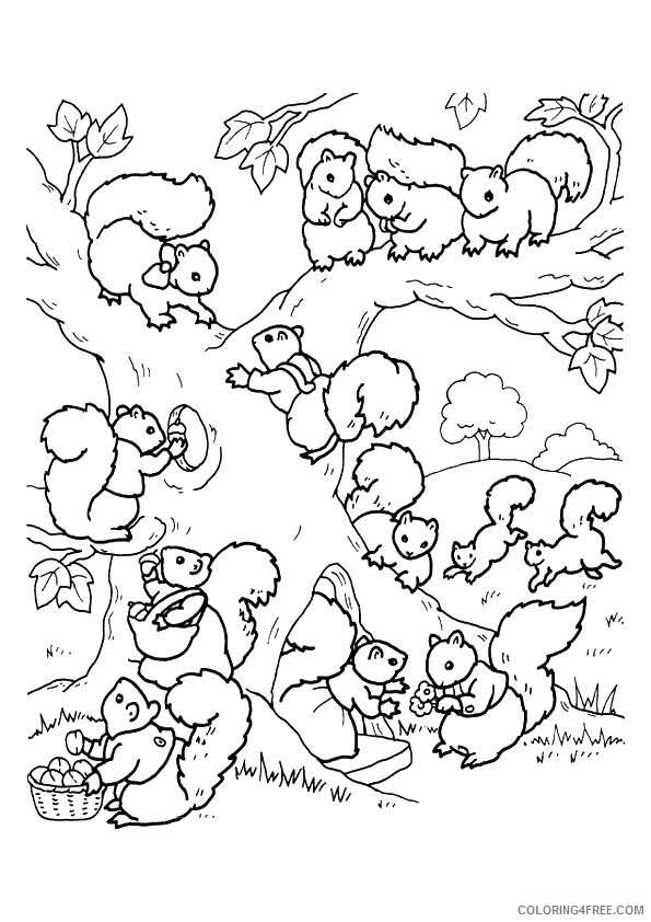 Squirrel Coloring Sheets Animal Coloring Pages Printable 2021 4301 Coloring4free