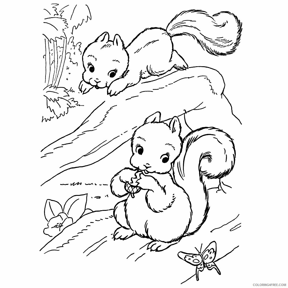 Squirrel Coloring Sheets Animal Coloring Pages Printable 2021 4303 Coloring4free