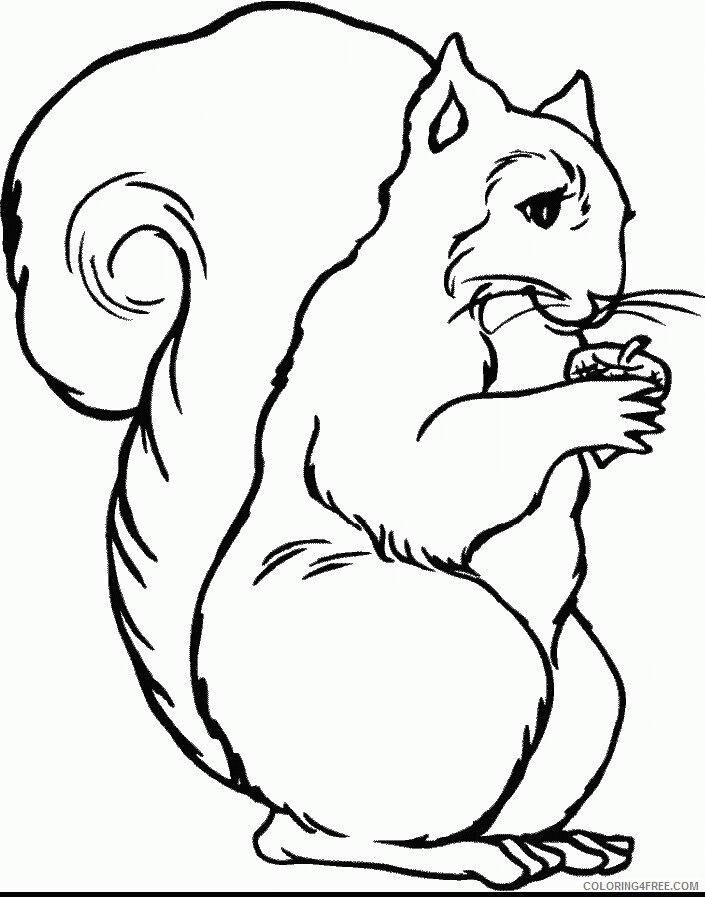 Squirrel Coloring Sheets Animal Coloring Pages Printable 2021 4307 Coloring4free