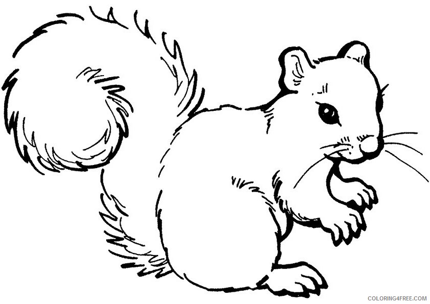 Squirrel Coloring Sheets Animal Coloring Pages Printable 2021 4309 Coloring4free