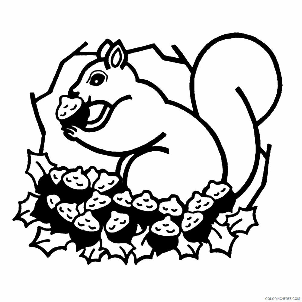 Squirrel Coloring Sheets Animal Coloring Pages Printable 2021 4312 Coloring4free