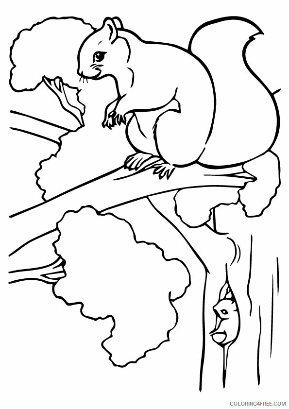Squirrel Coloring Sheets Animal Coloring Pages Printable 2021 4315 Coloring4free