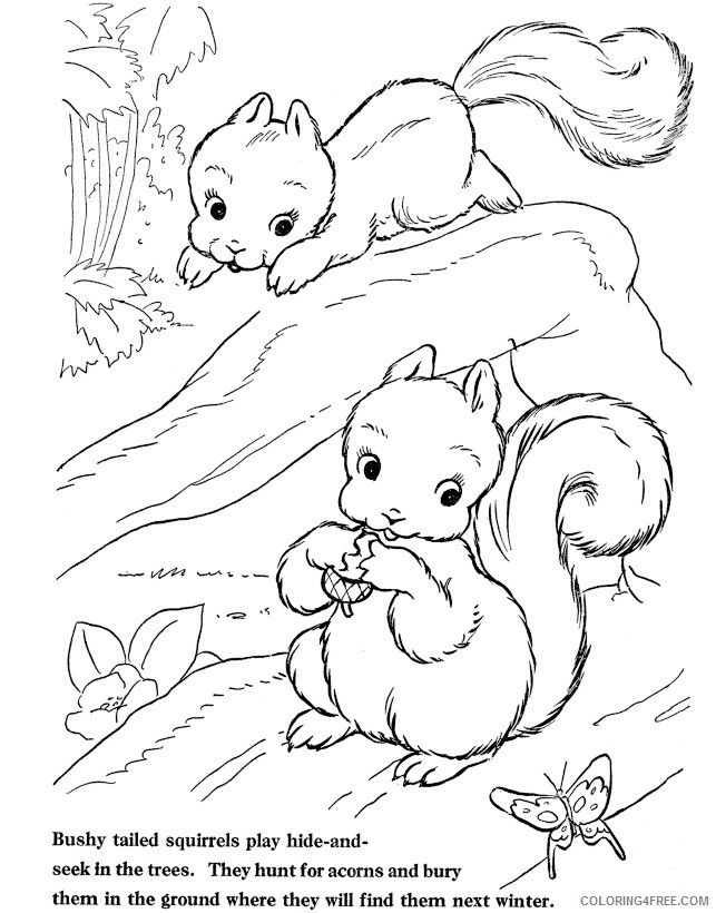 Squirrel Coloring Sheets Animal Coloring Pages Printable 2021 4319 Coloring4free