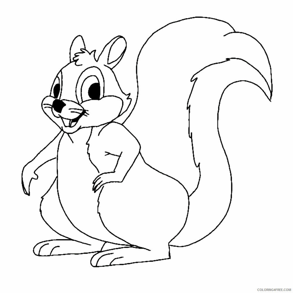 Squirrel Coloring Sheets Animal Coloring Pages Printable 2021 4321 Coloring4free