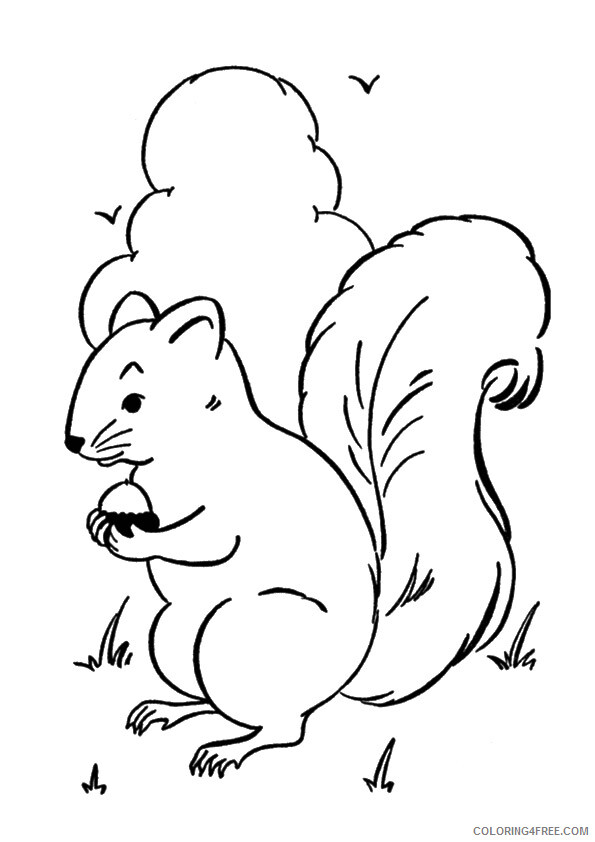 Squirrel Coloring Sheets Animal Coloring Pages Printable 2021 4324 Coloring4free