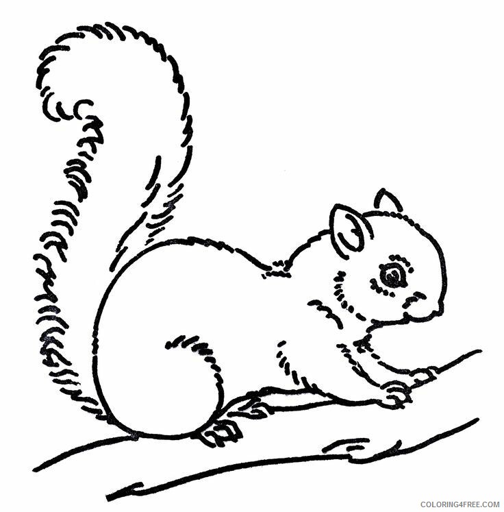 Squirrel Coloring Sheets Animal Coloring Pages Printable 2021 4326 Coloring4free